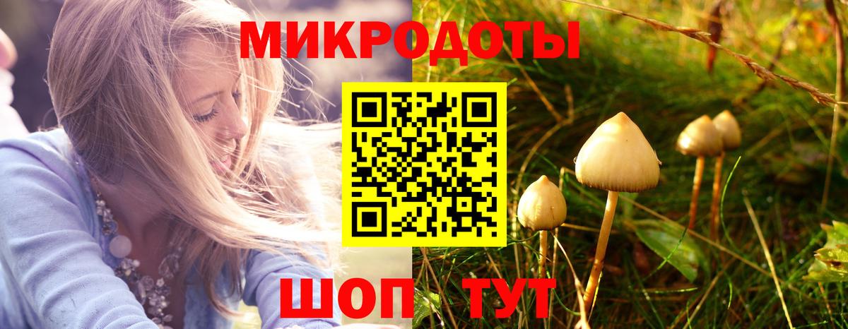 Сызрань  Псилоцибиновые грибы MAGIC MUSHROOMS  Вход с VPN 