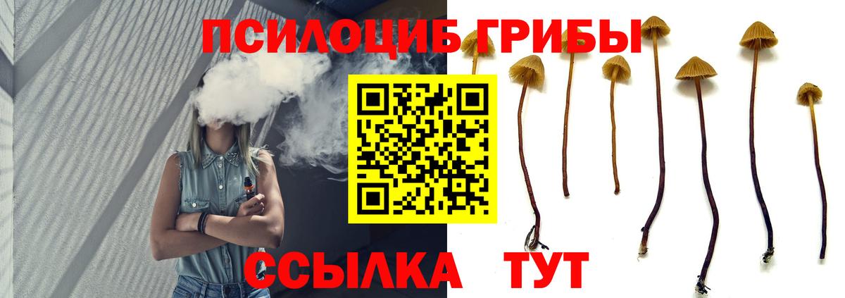 Псилоцибиновые грибы Magic Shrooms Сызрань